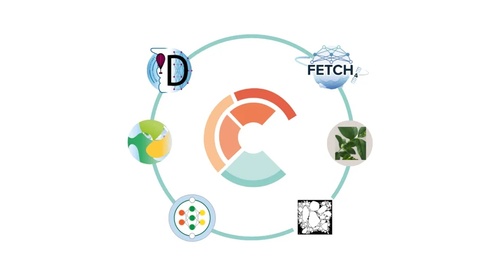 ICCS logo in centre surrounded by logos of VESRI organisations