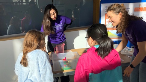 Children engaging with University staff at Cambridge Festival event